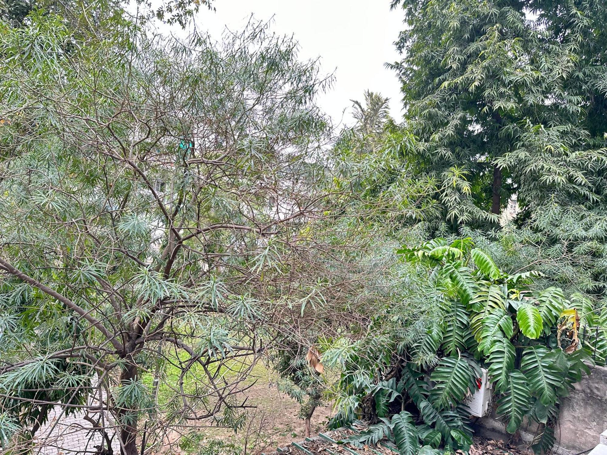 Grove Residency Hauz Khas New Delhi Couple Friendly Hotel Ngoại thất bức ảnh